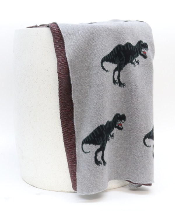 Cotton Dino Throw